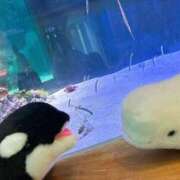 ヒメ日記 2025/05/10 12:49 投稿 ここ ピンクコレクション大阪キタ店