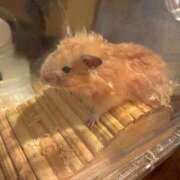 ヒメ日記 2025/08/09 16:49 投稿 ここ ピンクコレクション大阪キタ店