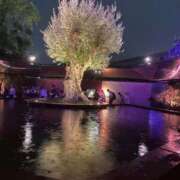 ヒメ日記 2025/09/15 11:09 投稿 ここ ピンクコレクション大阪キタ店