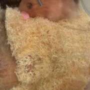 ヒメ日記 2025/09/15 16:56 投稿 ここ ピンクコレクション大阪キタ店