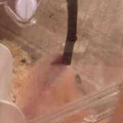 ヒメ日記 2025/10/05 13:19 投稿 ここ ピンクコレクション大阪キタ店