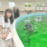 ヒメ日記 2025/10/16 17:33 投稿 ここ ピンクコレクション大阪キタ店