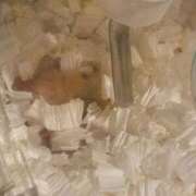 ヒメ日記 2025/11/27 11:29 投稿 ここ ピンクコレクション大阪キタ店