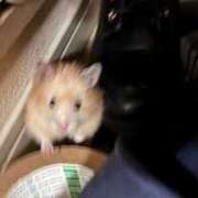 ヒメ日記 2025/12/10 17:09 投稿 ここ ピンクコレクション大阪キタ店