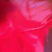 ヒメ日記 2025/12/11 12:59 投稿 ここ ピンクコレクション大阪キタ店