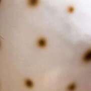 ヒメ日記 2026/03/28 11:19 投稿 ここ ピンクコレクション大阪キタ店