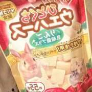 ヒメ日記 2026/10/06 11:09 投稿 ここ ピンクコレクション大阪キタ店