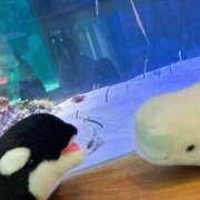 ヒメ日記 2025/05/10 12:42 投稿 ここ ピンクコレクション尼崎店