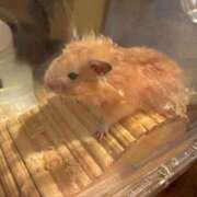 ヒメ日記 2025/08/09 16:46 投稿 ここ ピンクコレクション尼崎店