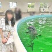 ヒメ日記 2025/10/16 17:22 投稿 ここ ピンクコレクション尼崎店