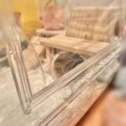 ヒメ日記 2025/11/09 11:04 投稿 ここ ピンクコレクション尼崎店