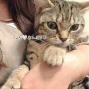 こより こより🤍春休み頂いてました🌸 世界のあんぷり亭 錦糸町店