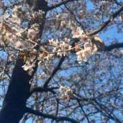 ヒメ日記 2025/05/04 15:39 投稿 うい アイドルドリーム