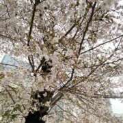 ヒメ日記 2025/03/06 21:57 投稿 紗月(さつき) グランドオペラ横浜