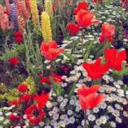 ヒメ日記 2025/03/09 16:34 投稿 紗月(さつき) グランドオペラ横浜