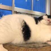 ヒメ日記 2025/03/18 18:35 投稿 紗月(さつき) グランドオペラ横浜