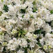 ヒメ日記 2025/05/24 15:53 投稿 紗月(さつき) グランドオペラ横浜