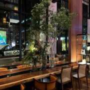 ヒメ日記 2026/02/26 16:41 投稿 紗月(さつき) グランドオペラ横浜