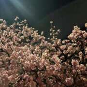 ヒメ日記 2026/03/02 00:09 投稿 紗月(さつき) グランドオペラ横浜