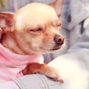 ヒメ日記 2025/02/21 06:03 投稿 ひなた Hip's千葉駅前店