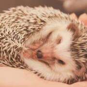 ヒメ日記 2025/02/23 06:03 投稿 ひなた Hip's千葉駅前店