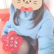 ヒメ日記 2025/02/24 10:33 投稿 ひなた Hip's千葉駅前店