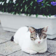 ヒメ日記 2025/02/26 06:03 投稿 ひなた Hip's千葉駅前店