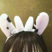 ヒメ日記 2025/12/10 02:47 投稿 つくし 横浜・関内サンキュー