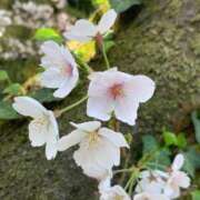 ヒメ日記 2025/03/14 23:27 投稿 工藤 モアグループ大宮人妻花壇