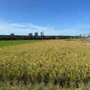 ヒメ日記 2025/10/19 08:09 投稿 工藤 モアグループ大宮人妻花壇