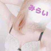 ヒメ日記 2025/03/16 16:03 投稿 みらい Masquerade(マスカレード)