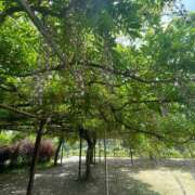 ヒメ日記 2025/05/09 08:30 投稿 ♡カホ♡ ラブ♡エル