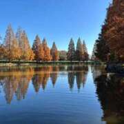 ヒメ日記 2025/12/03 11:18 投稿 工藤 モアグループ春日部人妻城