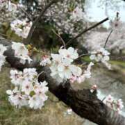 ヒメ日記 2026/03/31 10:48 投稿 工藤 モアグループ春日部人妻城