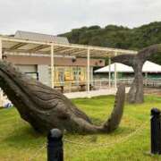 ヒメ日記 2025/12/31 22:14 投稿 ナノハ ソープランドMAX‐マックス- 浅草店