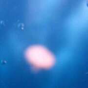 ヒメ日記 2026/01/15 11:40 投稿 ナノハ ソープランドMAX‐マックス- 浅草店