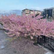 ナノハ みるだけだよ ソープランドMAX‐マックス- 浅草店