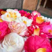 ヒメ日記 2026/03/24 17:55 投稿 ナノハ ソープランドMAX‐マックス-