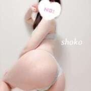 ヒメ日記 2025/05/13 09:47 投稿 しょうこ 池袋人妻ヒットパレード（シンデレラグループ）