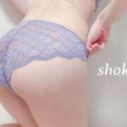 ヒメ日記 2025/08/29 19:19 投稿 しょうこ 池袋人妻ヒットパレード（シンデレラグループ）