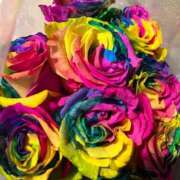 ヒメ日記 2025/03/28 11:37 投稿 平尾　のぞみ ギン妻パラダイス 谷九店