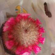 ヒメ日記 2025/04/24 11:47 投稿 平尾　のぞみ ギン妻パラダイス 谷九店