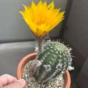 ヒメ日記 2025/06/09 13:26 投稿 平尾　のぞみ ギン妻パラダイス 谷九店