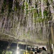 ヒメ日記 2025/05/16 01:32 投稿 咲乃小春 お客様満足度NO.1デリヘル！ 秘密倶楽部 凛 千葉