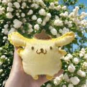 ヒメ日記 2025/08/19 18:02 投稿 咲乃小春 お客様満足度NO.1デリヘル！ 秘密倶楽部 凛 千葉