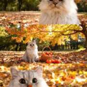 ヒメ日記 2025/11/11 00:34 投稿 じゅり ニュー姫