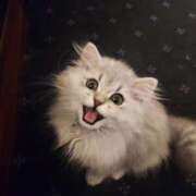 ヒメ日記 2025/12/07 06:45 投稿 じゅり ニュー姫