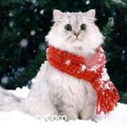 ヒメ日記 2026/01/22 16:35 投稿 じゅり ニュー姫