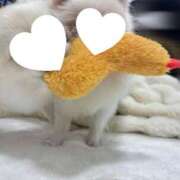 ヒメ日記 2025/11/08 16:02 投稿 なこ☆奇跡神乳エロボディ♡ 妹系イメージSOAP萌えフードル学園 大宮本校