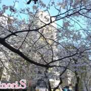 ヒメ日記 2025/04/04 21:29 投稿 須藤 みのり 京都ホットポイント